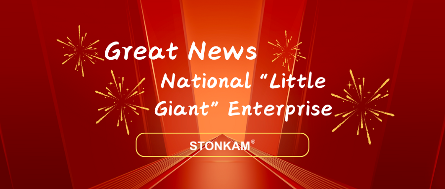 ¡Enhorabuena! ¡STONKAM ha sido galardonada como «pequeña empresa gigante» a nivel nacional!