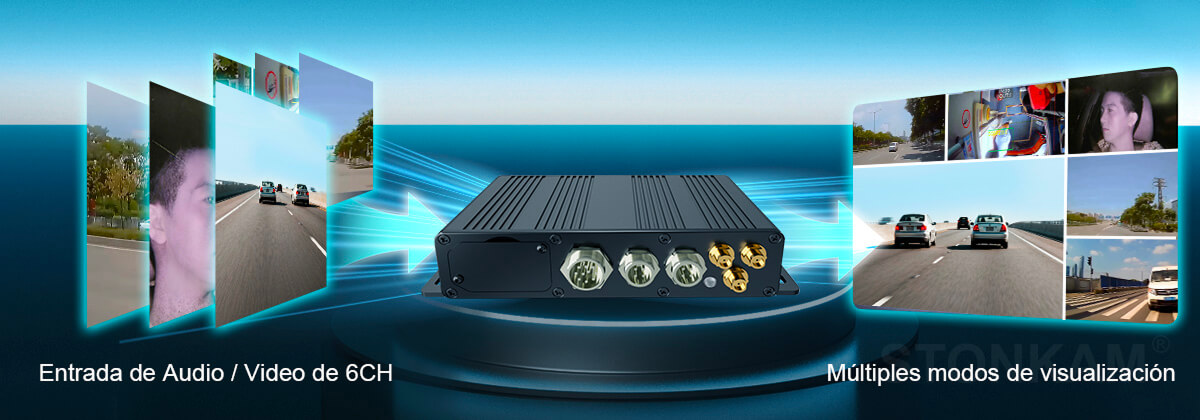 visualización dividido para coche 