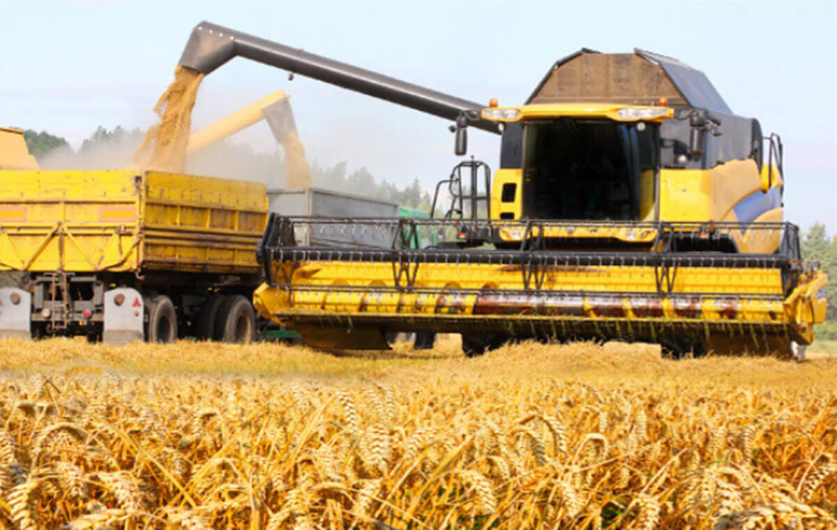 cámara inalámbrica