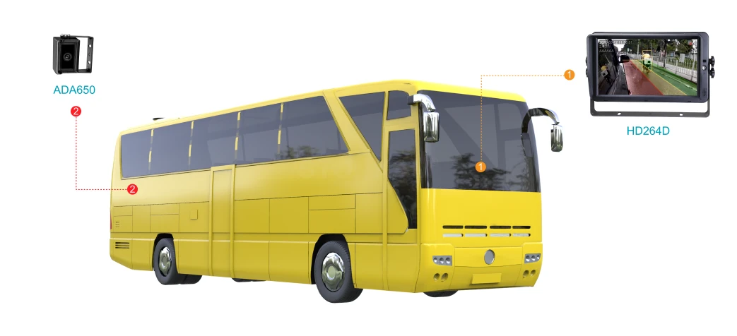 Transporte Público